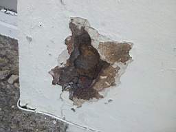 fkillineybeforeexternal 1310.jpg